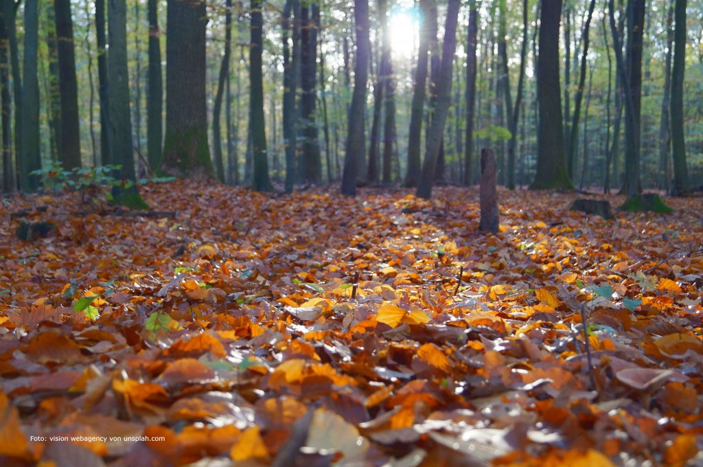 Wetterfühligkeit: Ist was dran?